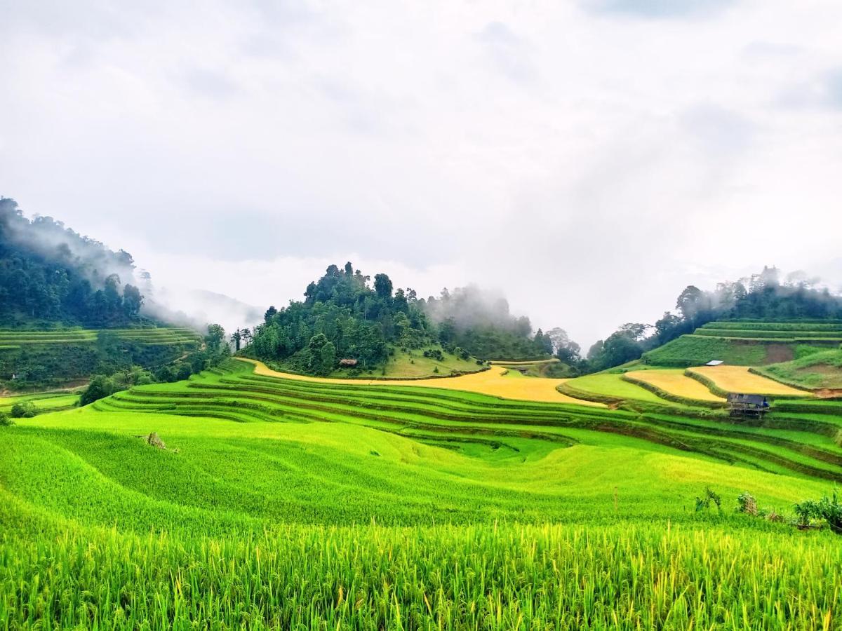 Hoang Su Phi Bungalow Dış mekan fotoğraf