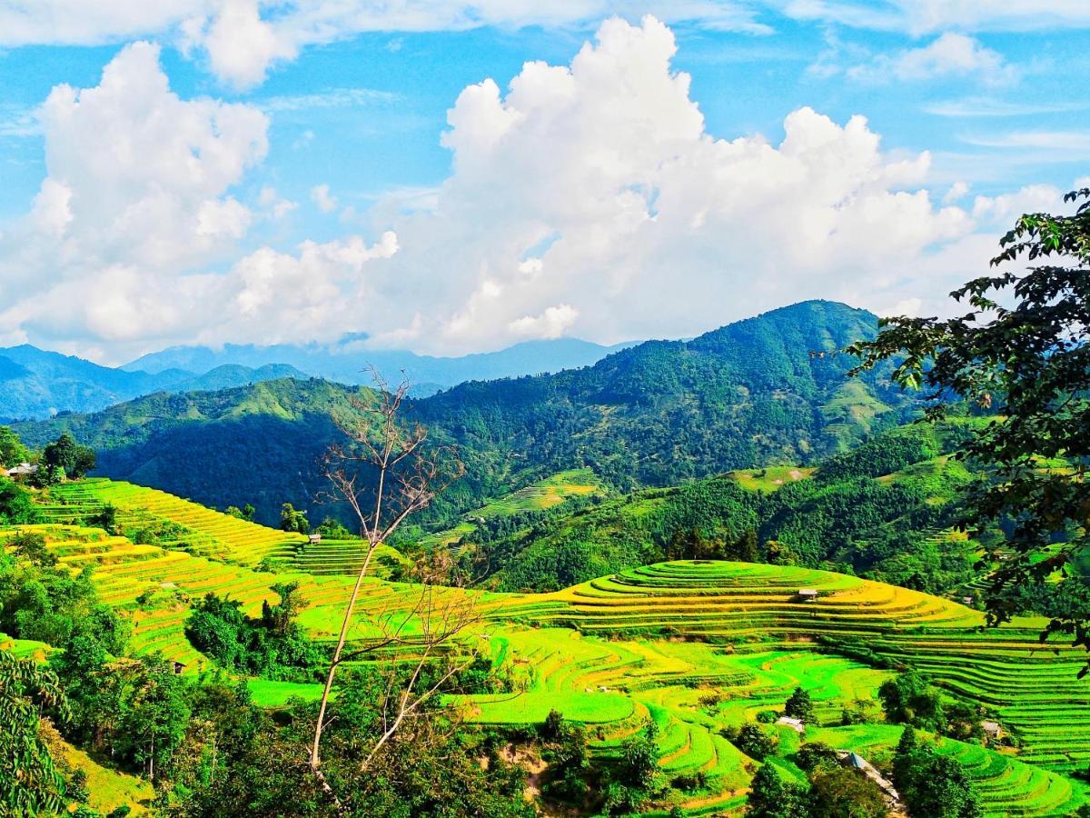 Hoang Su Phi Bungalow Dış mekan fotoğraf