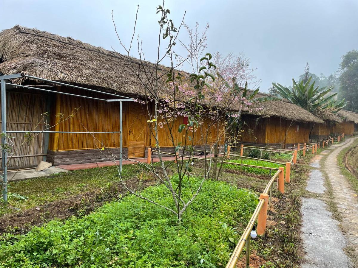 Hoang Su Phi Bungalow Dış mekan fotoğraf